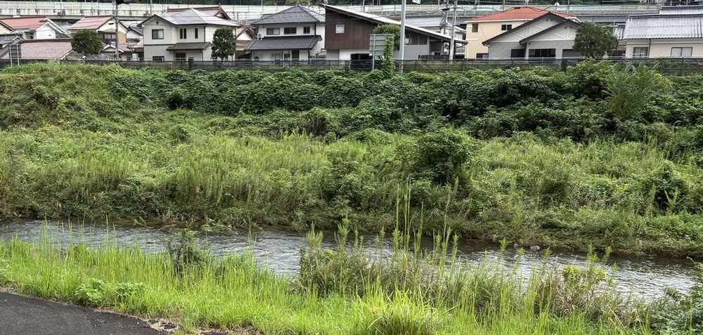 宿の軒先から見える川と浜田の町並み。JR浜田駅から車で5分