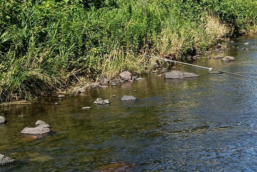 家のすぐ前を流れる浅瀬の川。釣り竿は無料レンタル